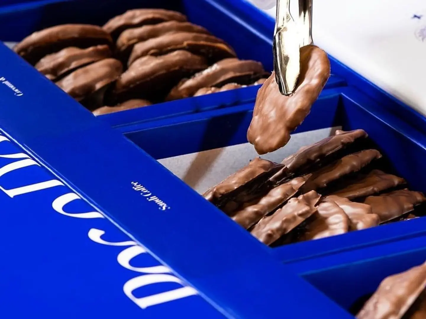 Bocodor Chocolate