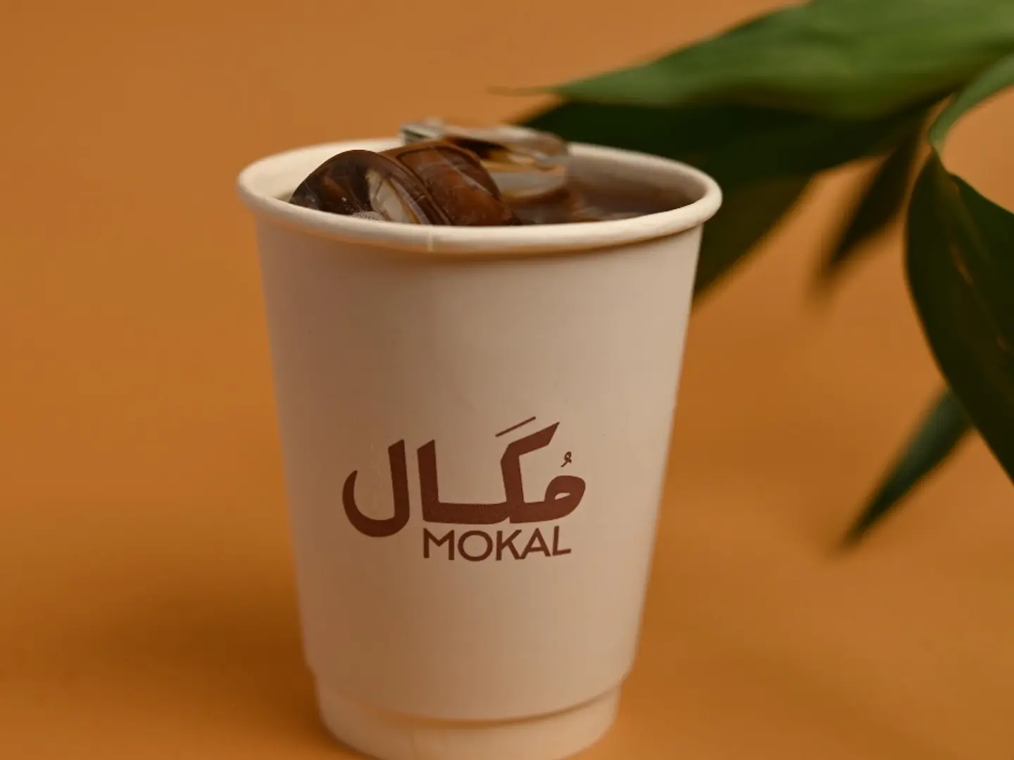 قهوة اليوم كبير