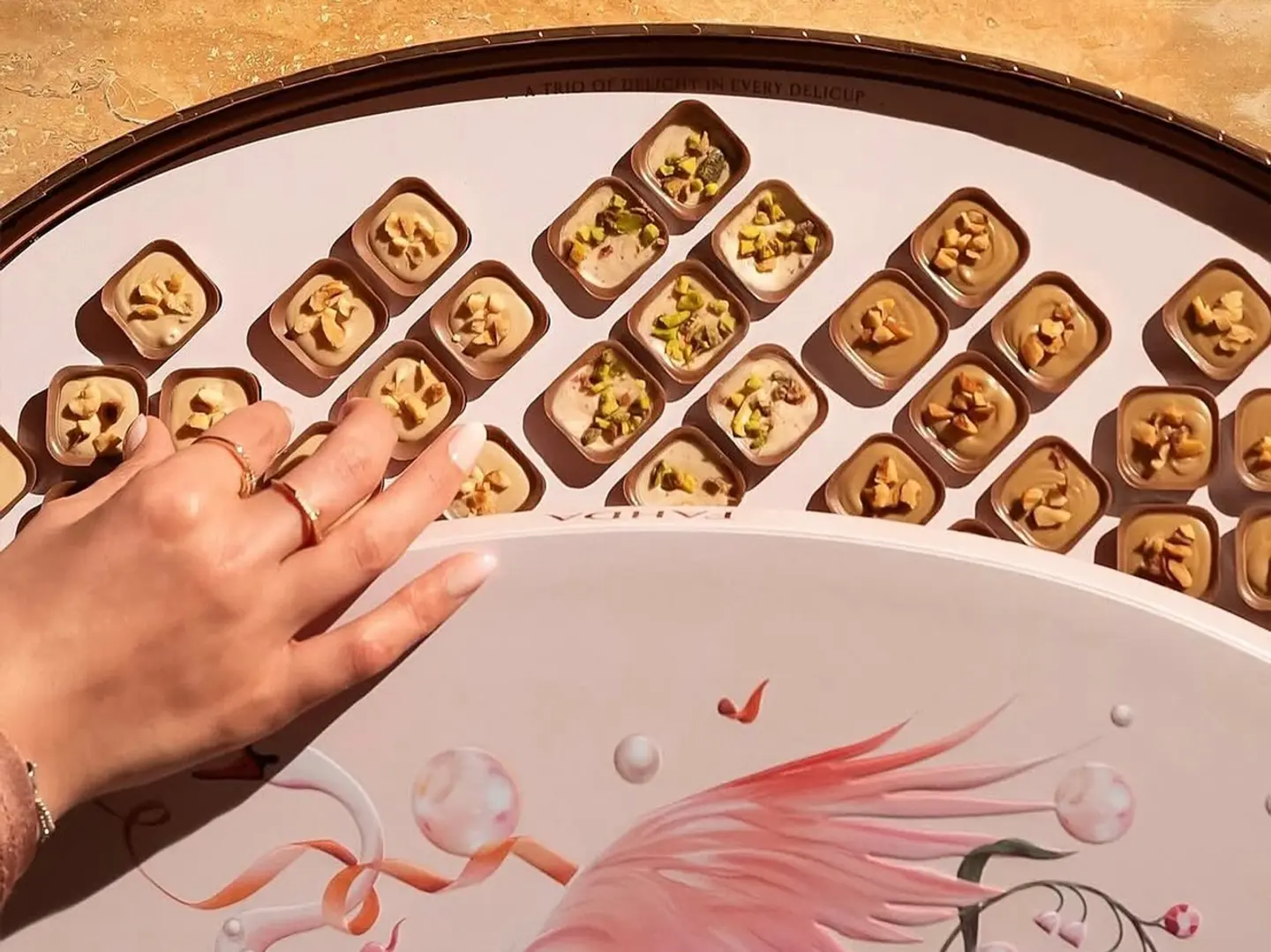 فهدة ديلي كب مكس