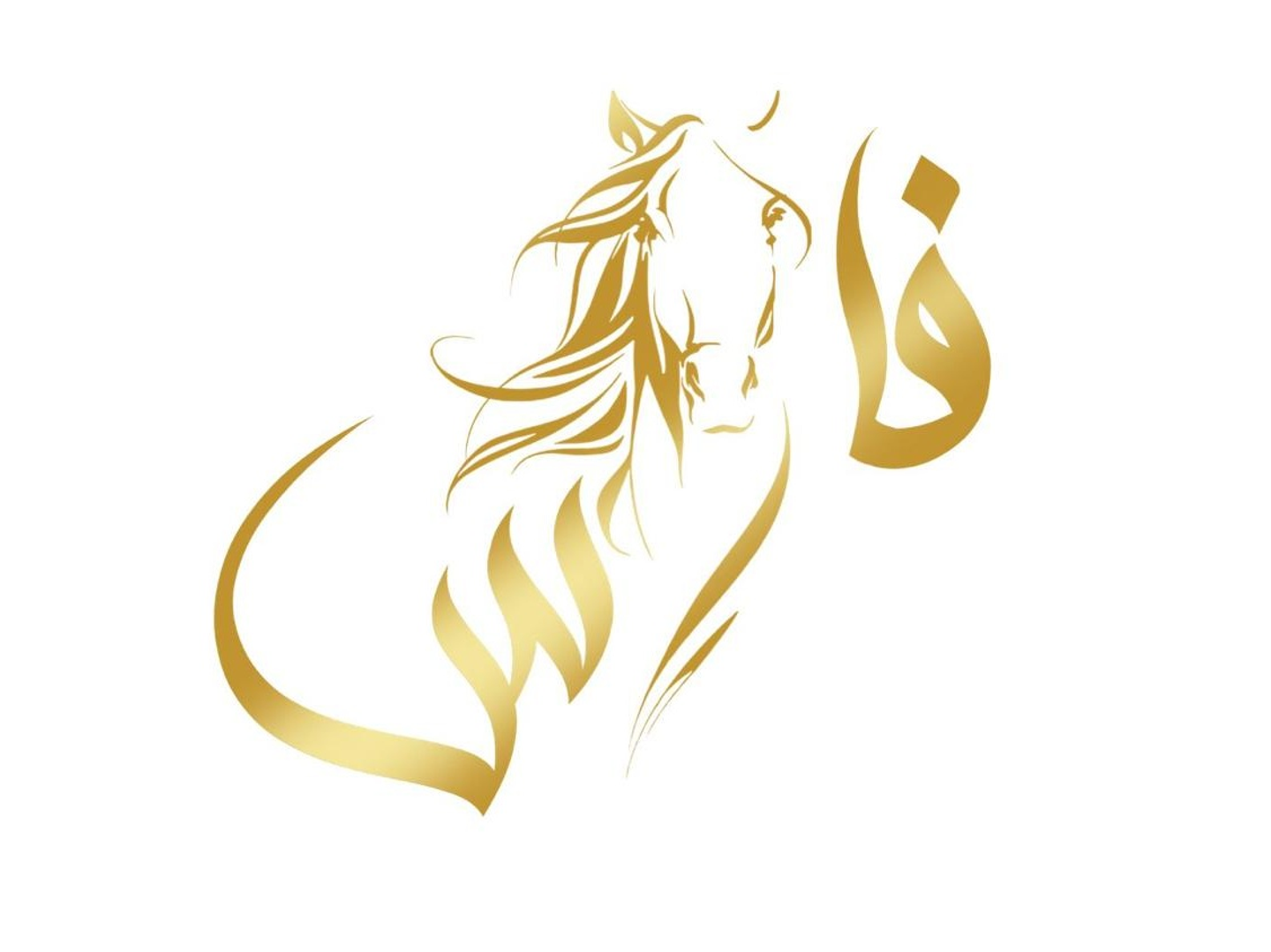 Eggplant, Potatoes And Tomatoes