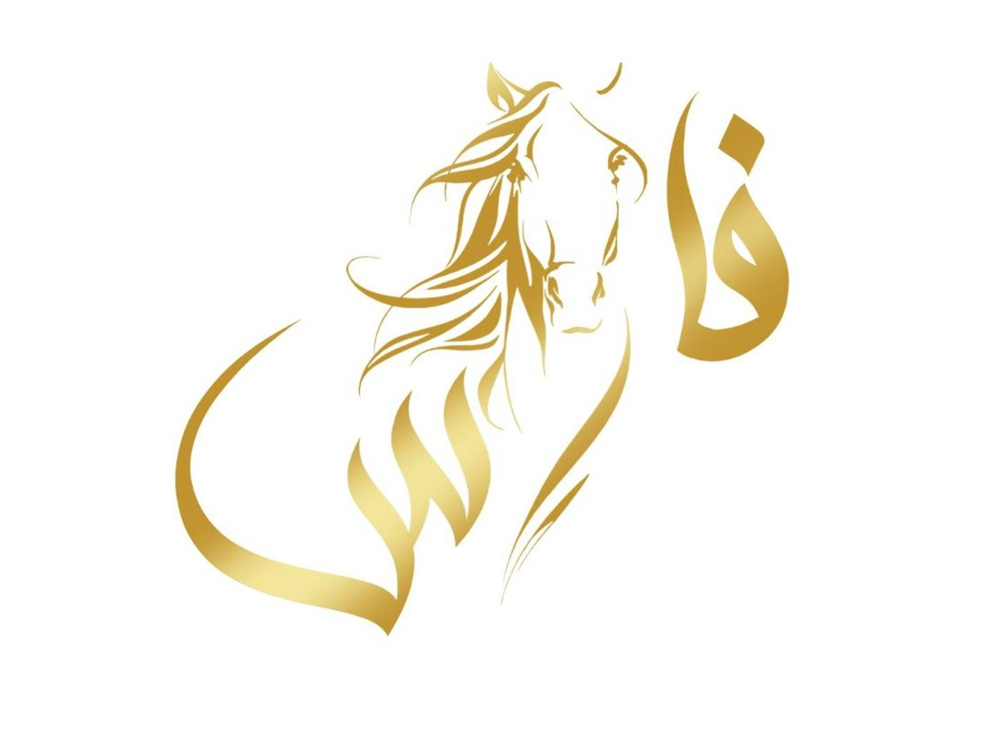 Halloumi And Tomatoes Eggplant