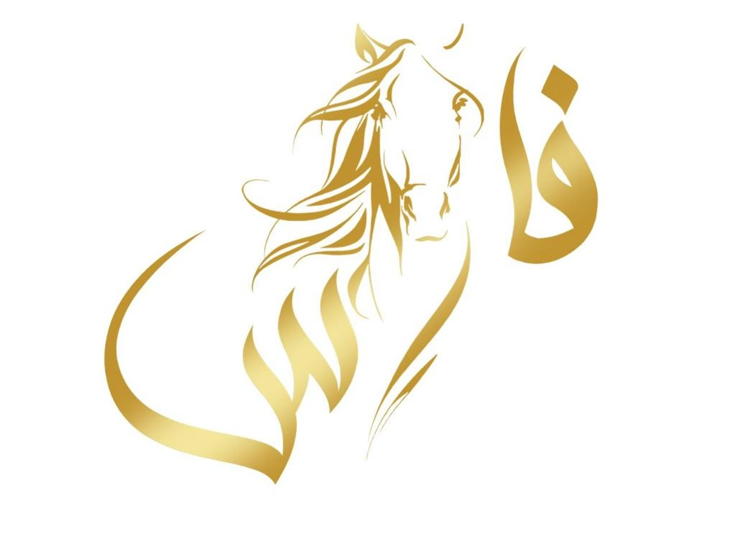 بطاطس وباذنجان طماطم دبس رمان
