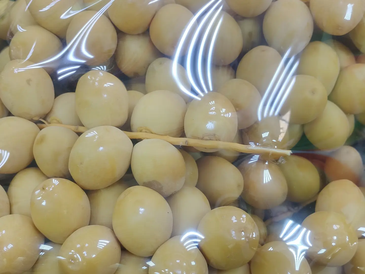 برحي