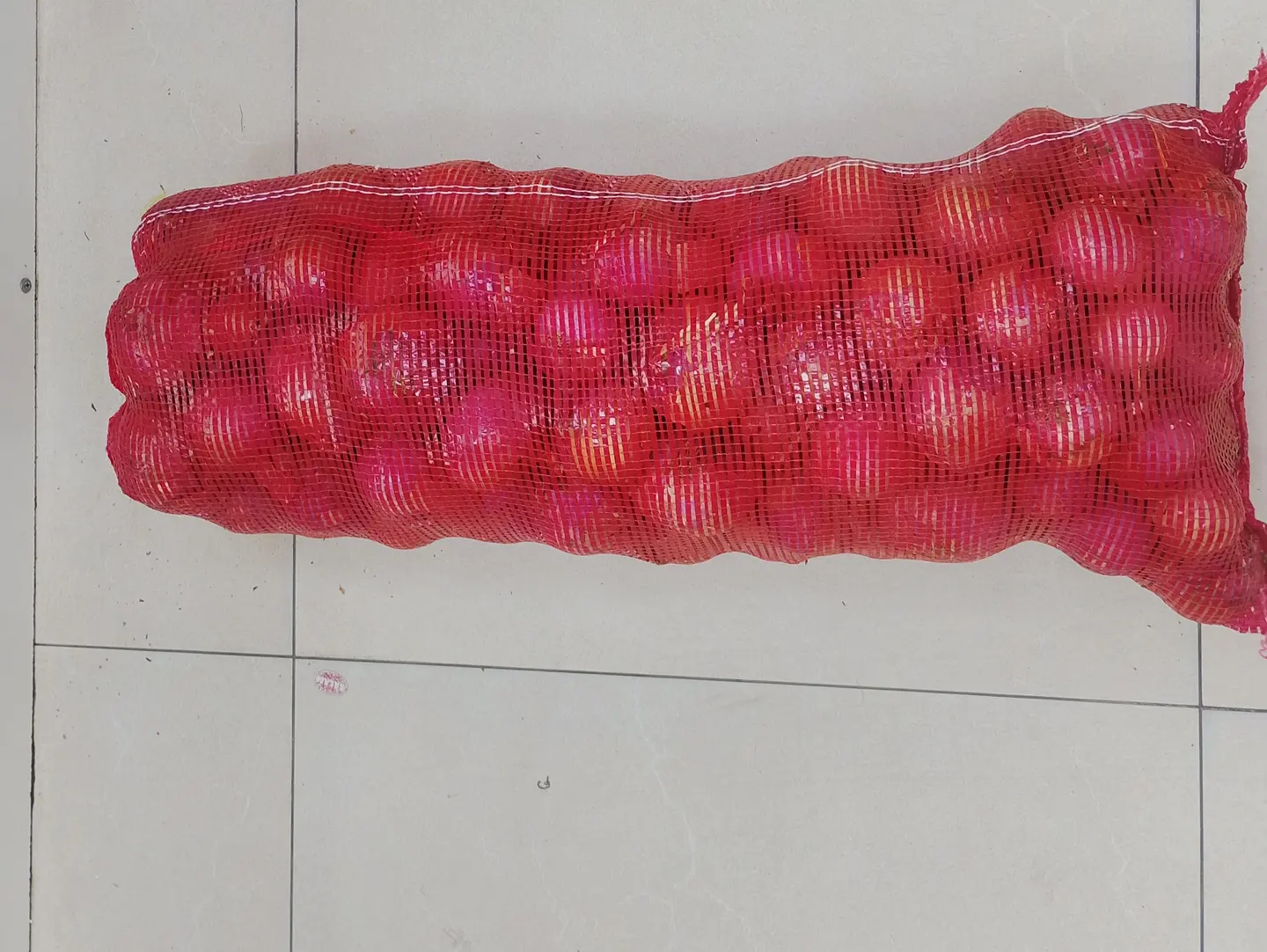 Large Onion Burlap