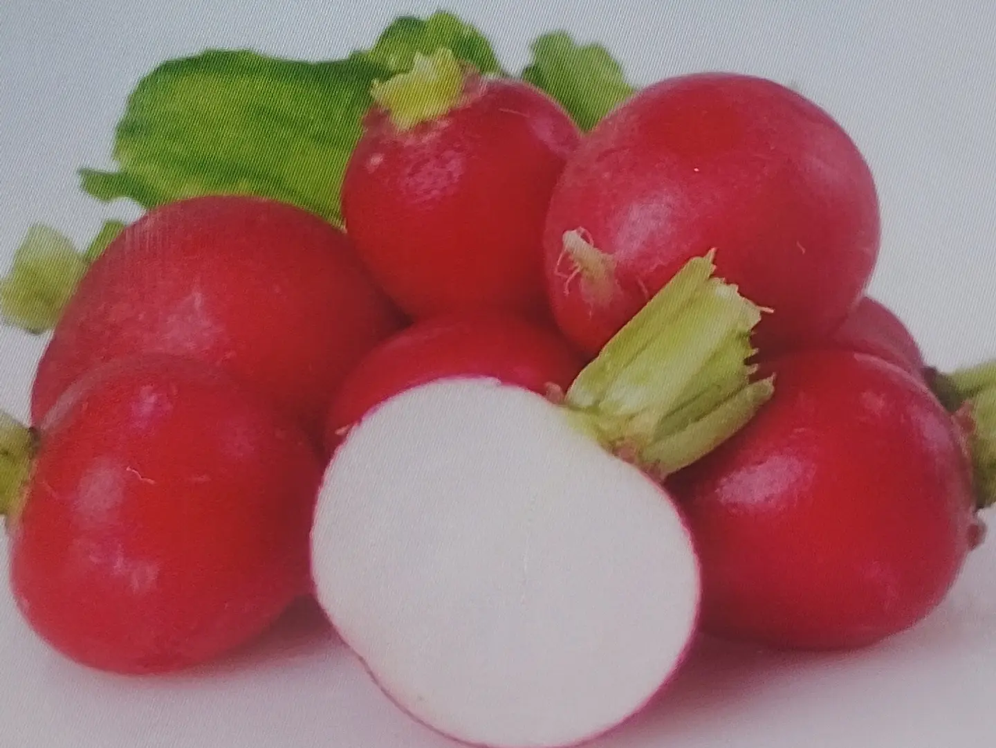 Red Radish Pack