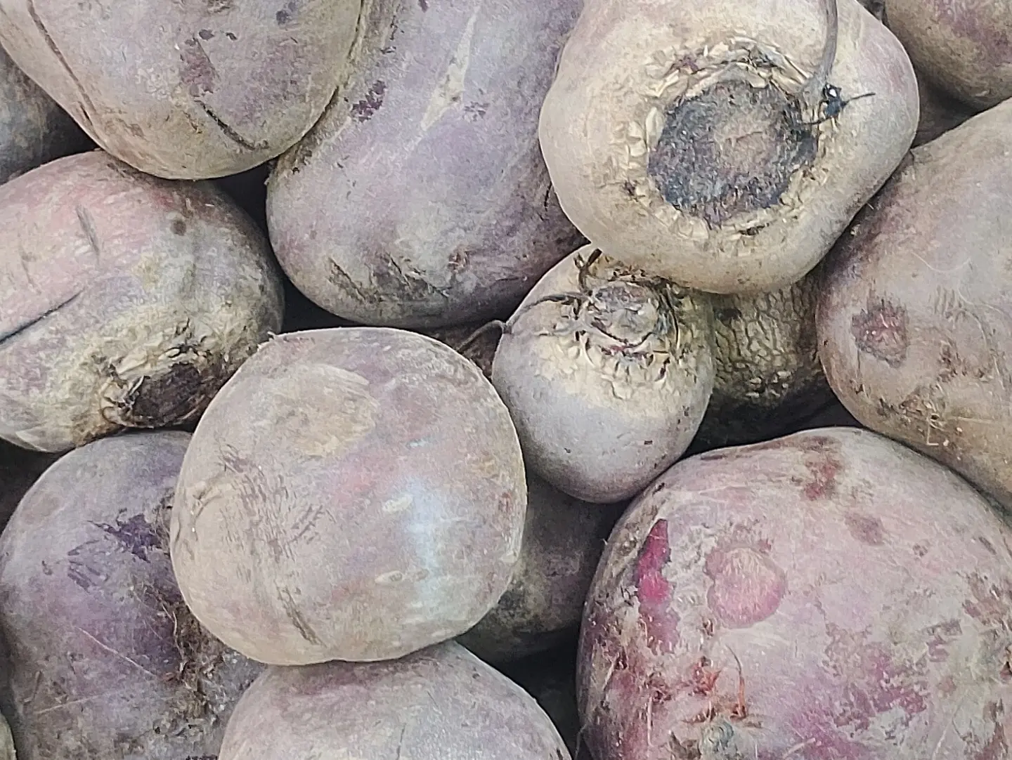 Beetroot 500 Grams