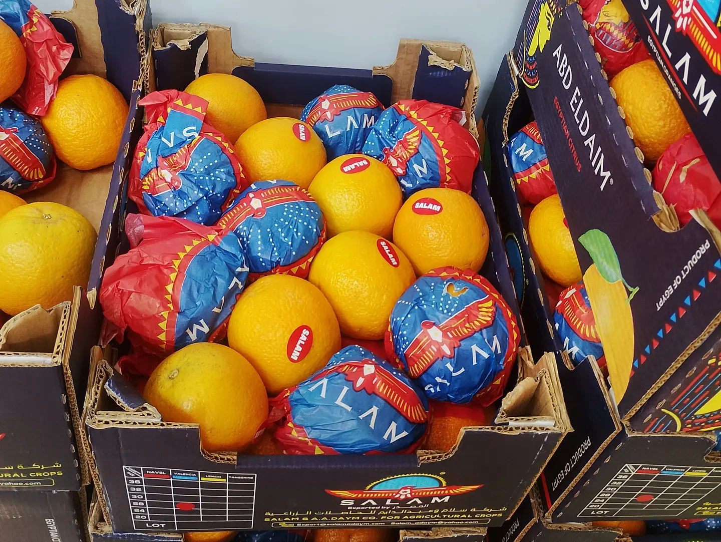 Egyptian Orange Fresh Juice
