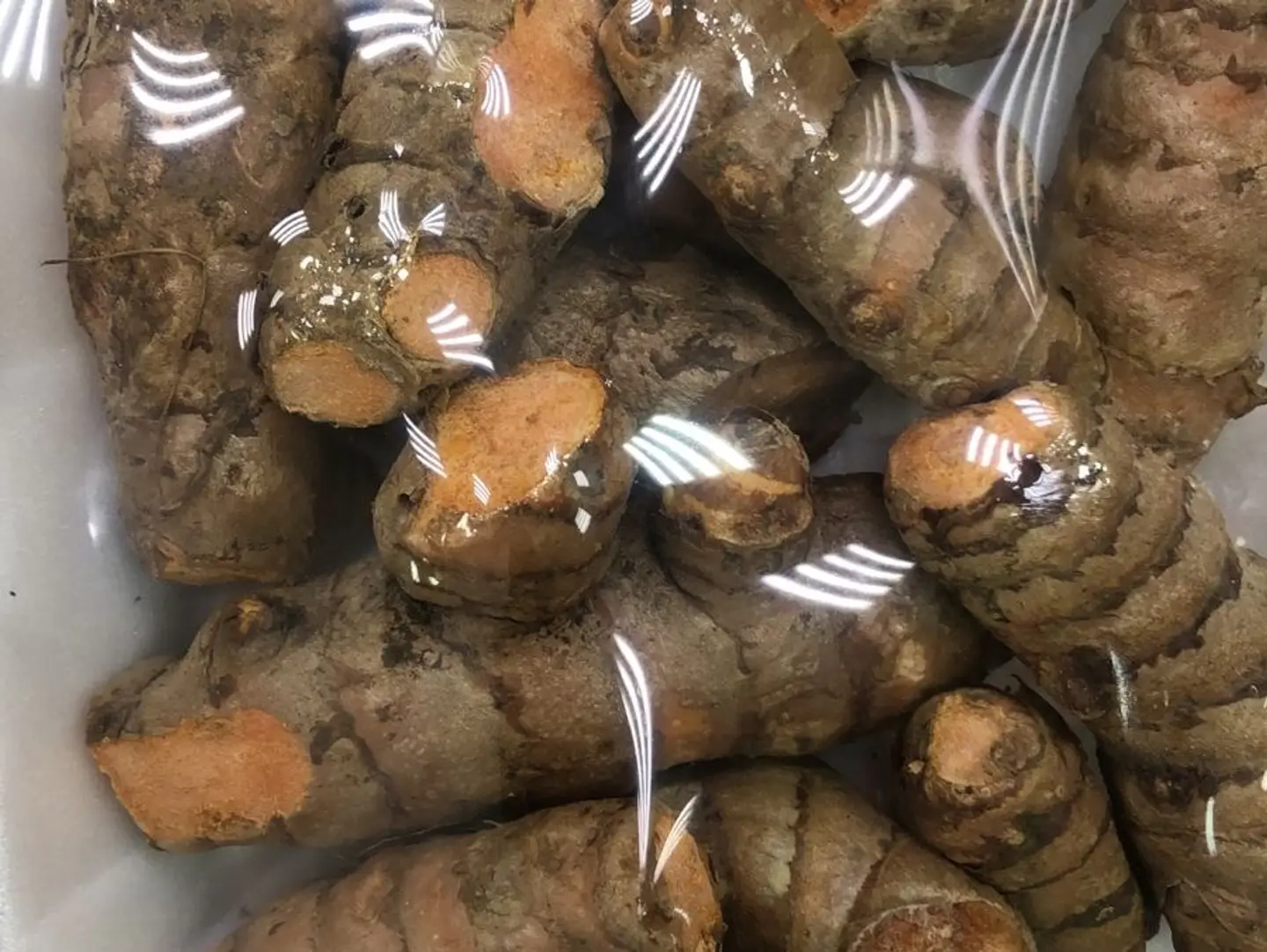 كركم صحن
