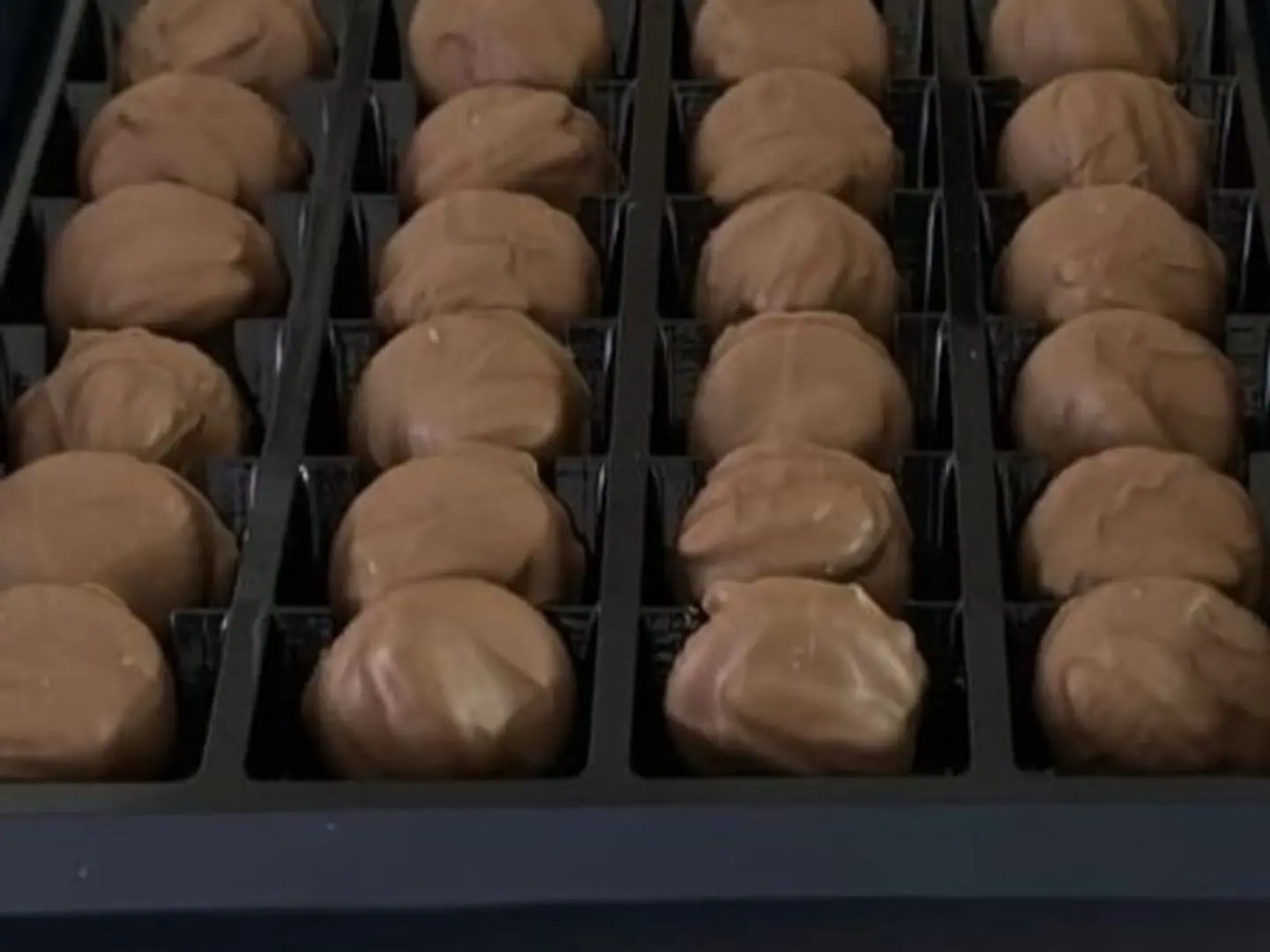 Swiss Chocolate Pecan Caramel Touch