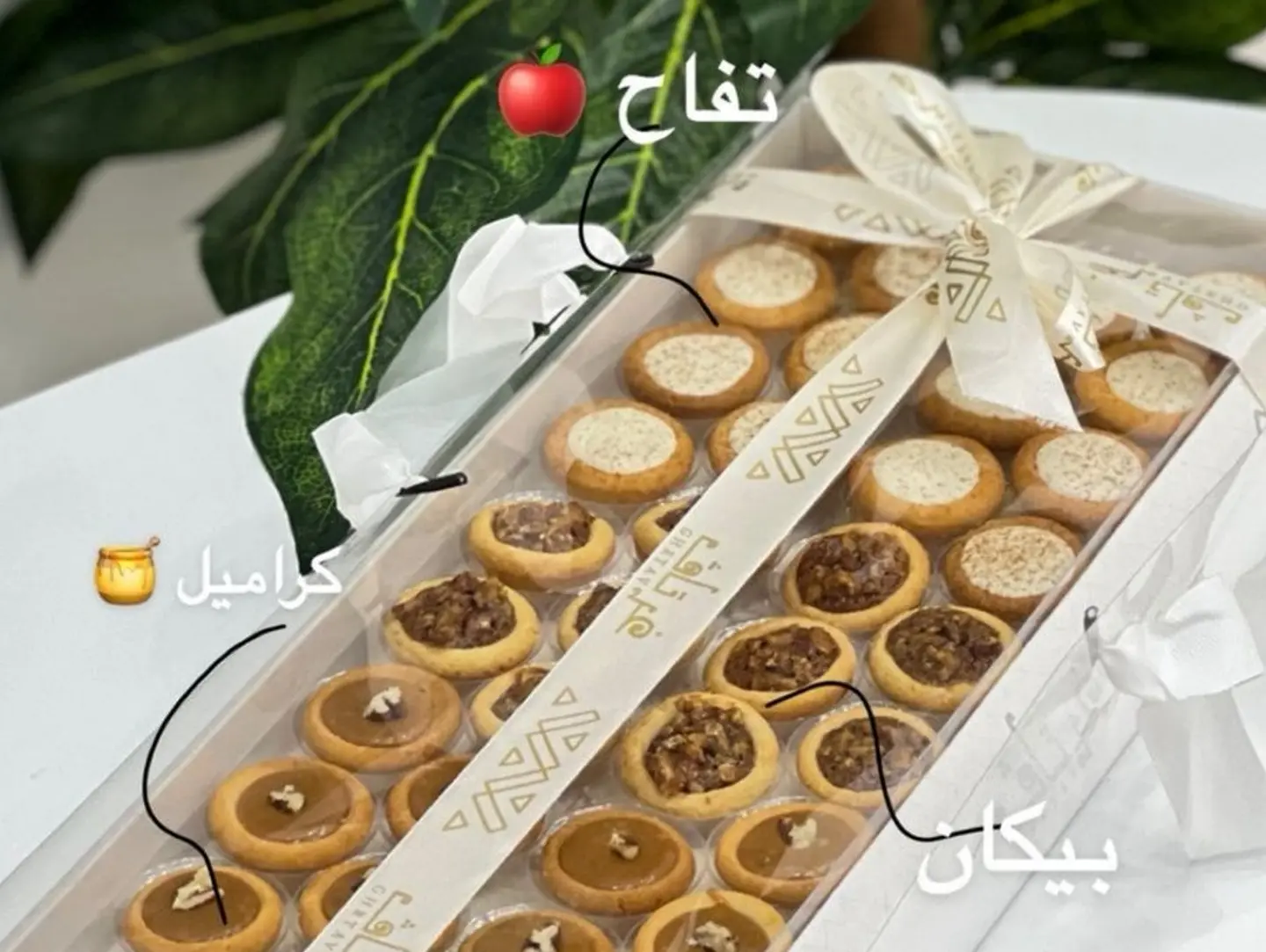 تارت غرتاف حجم كبير