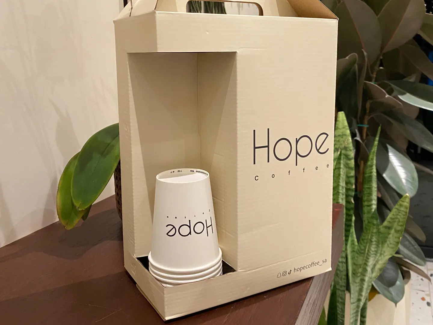 بوكس هوت تشوكلت