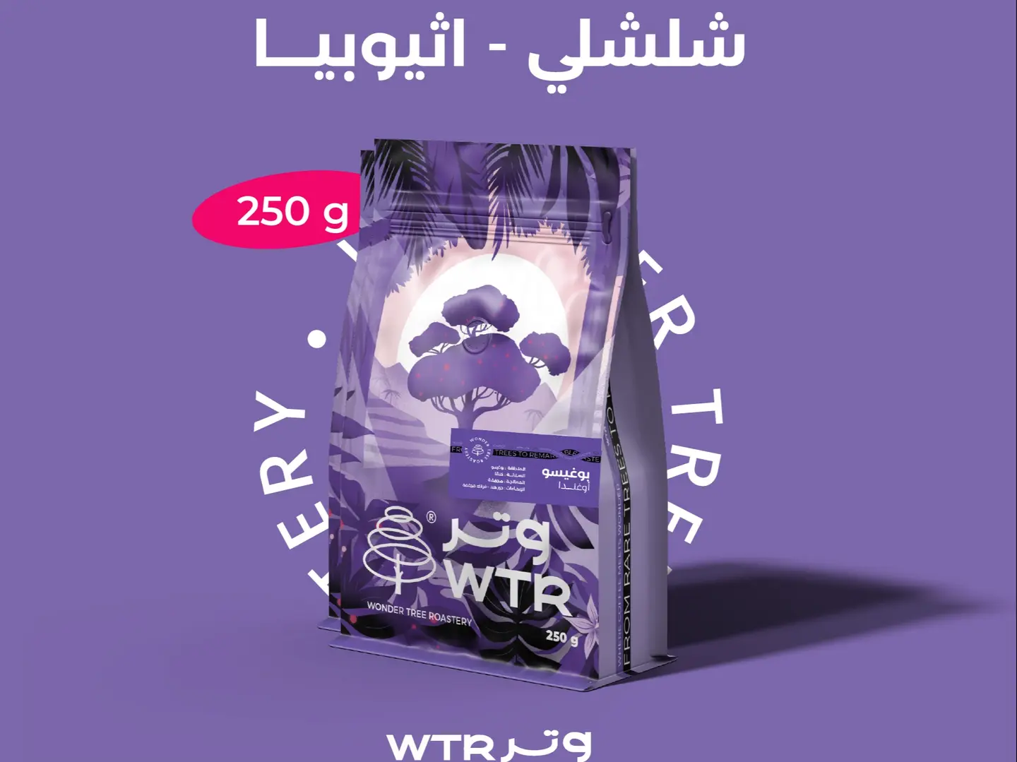 إثيوبيا شلشلي