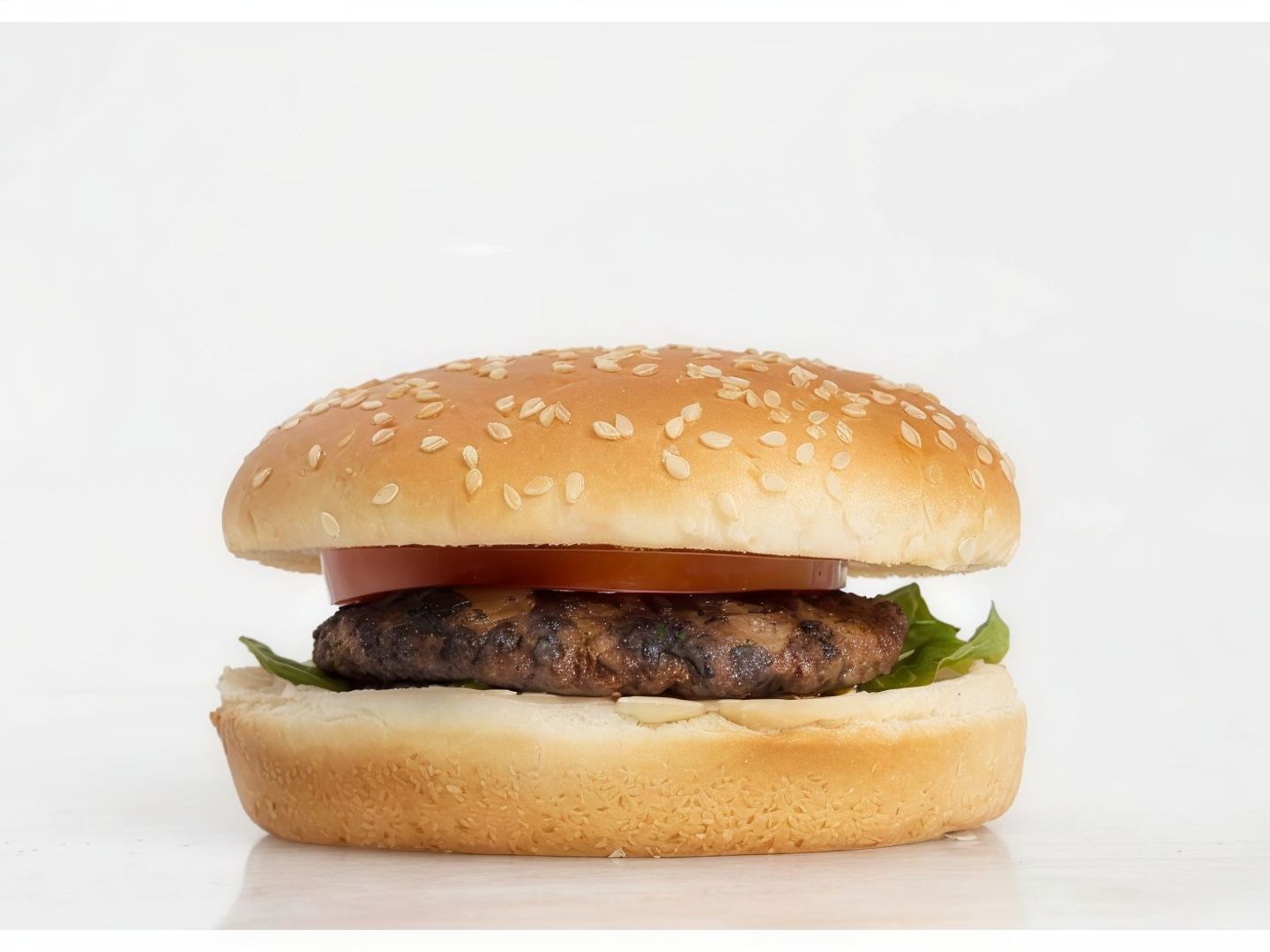 Beef Burger Sandwich