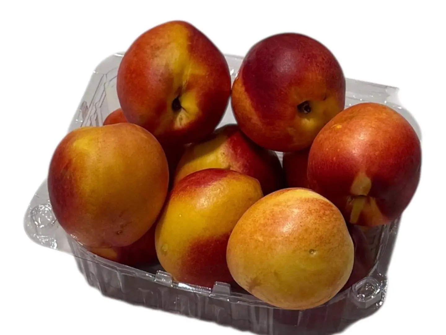 Nitrine Fruit