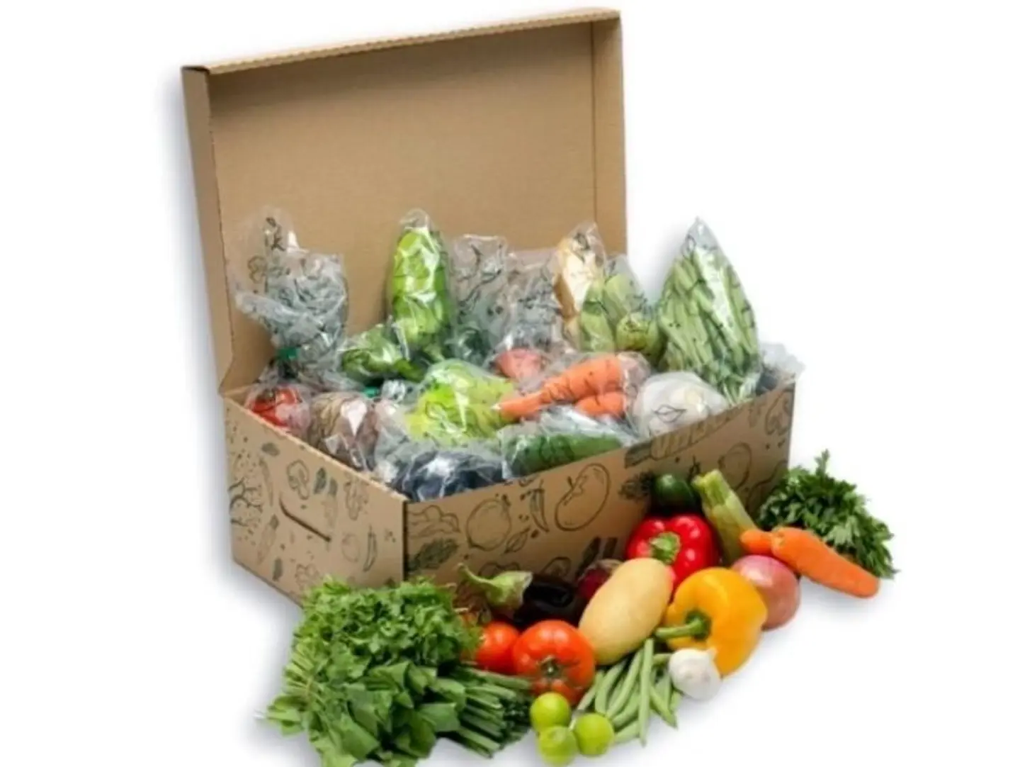 Family Box