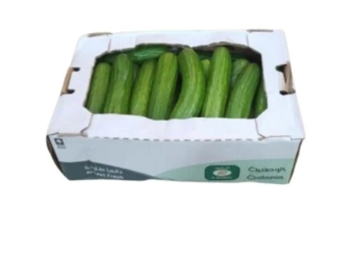 2 To 3 Kg Carton Of Cucumber
