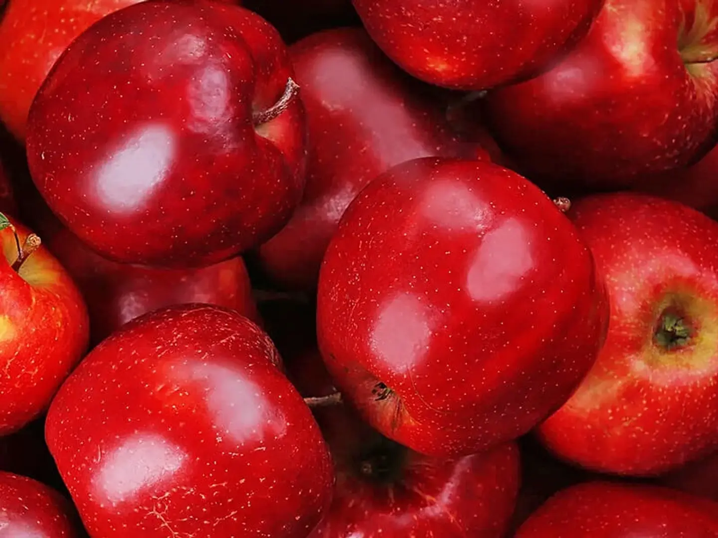 Super American Apple Kilo