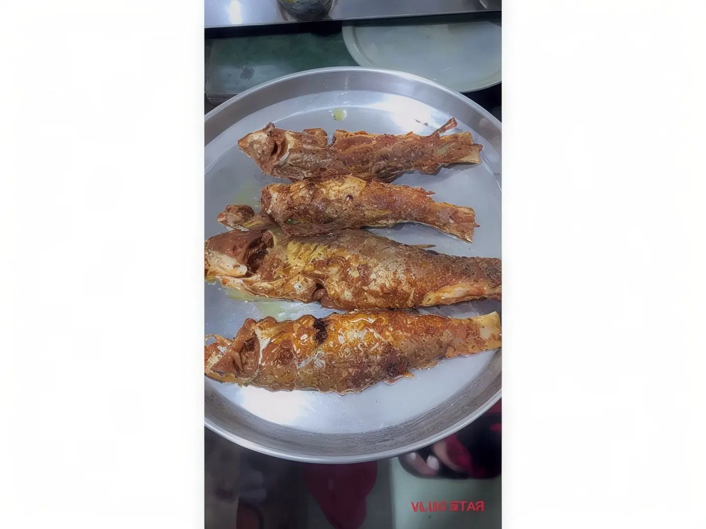 حمام بياض 1 كيلو