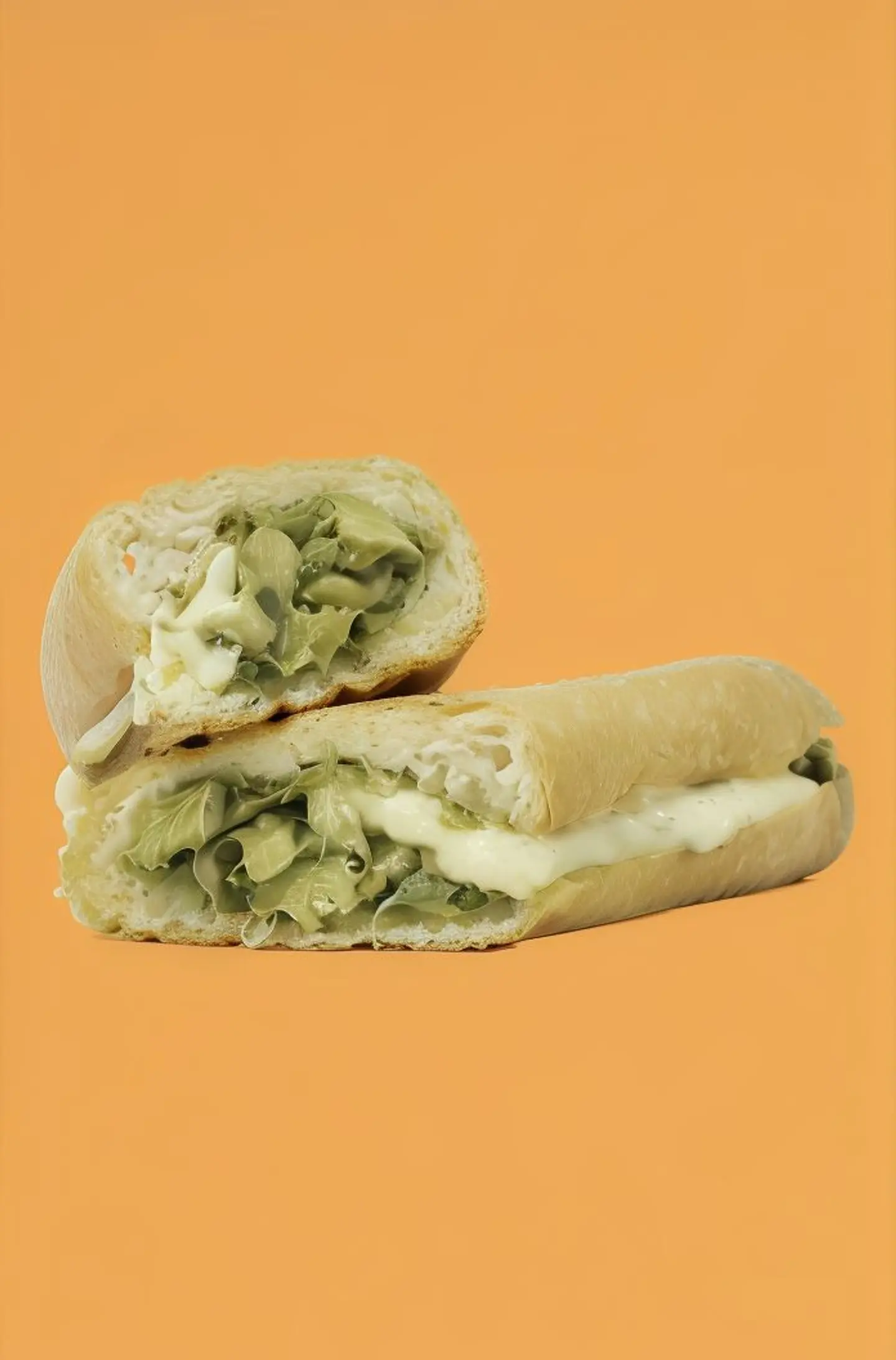 ساندوتش الدجاج