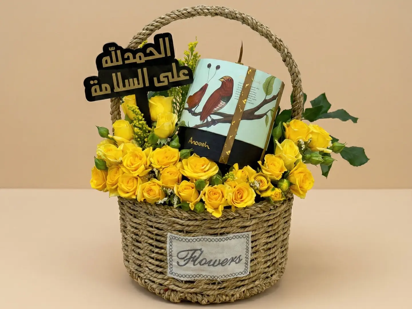 سلة السلامة انوش