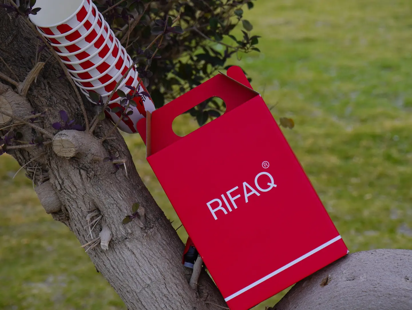 Today's Coffee Box 2 Liters