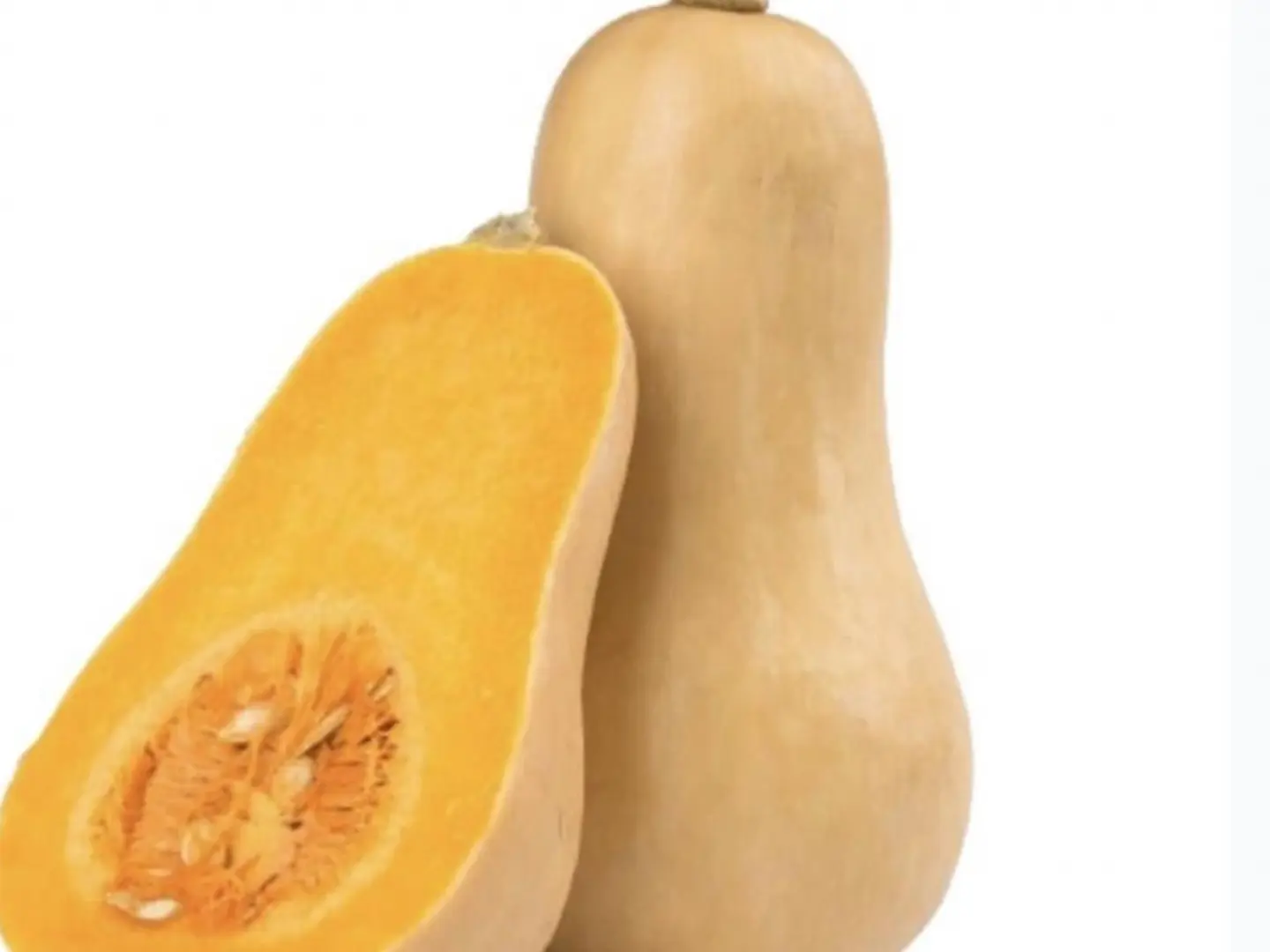 American Pumpkin Kg 1