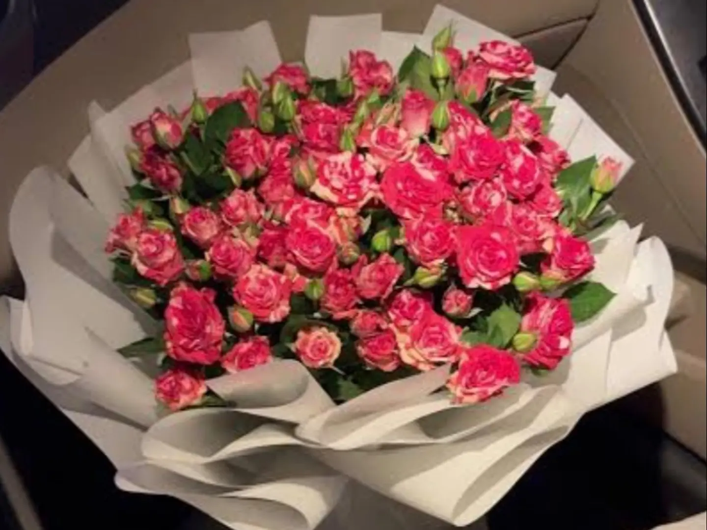 Baby Rose1