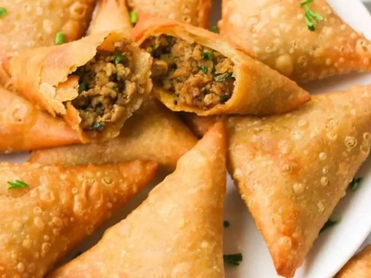 170g Meat Samosa