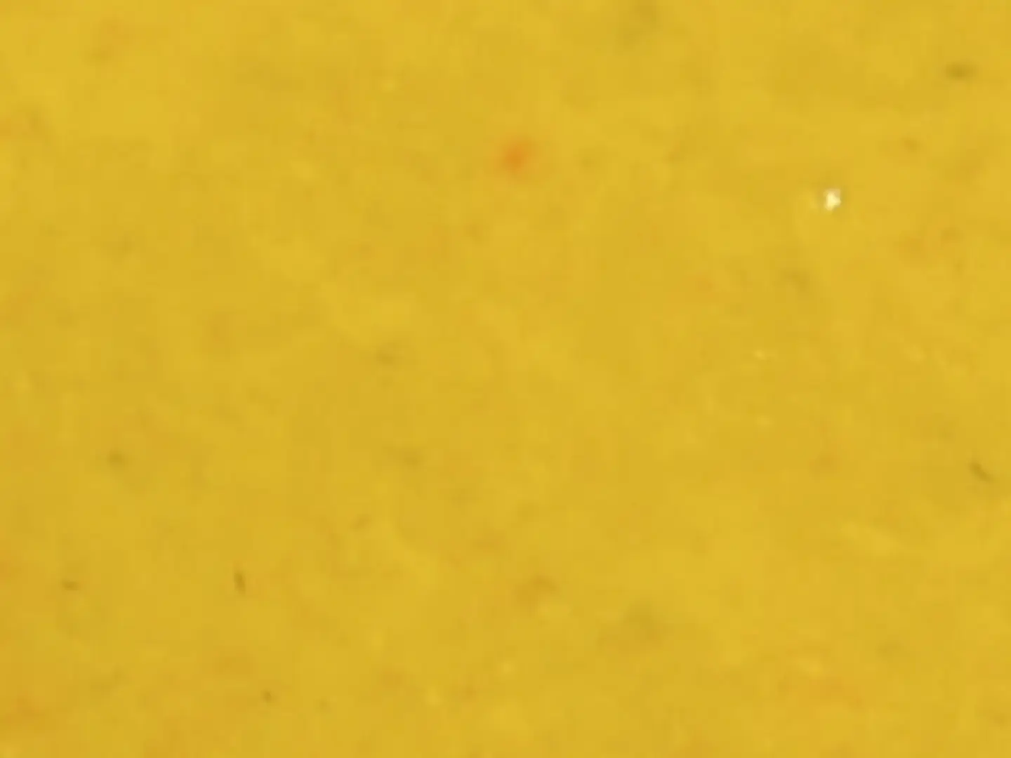 شوربة شوفان