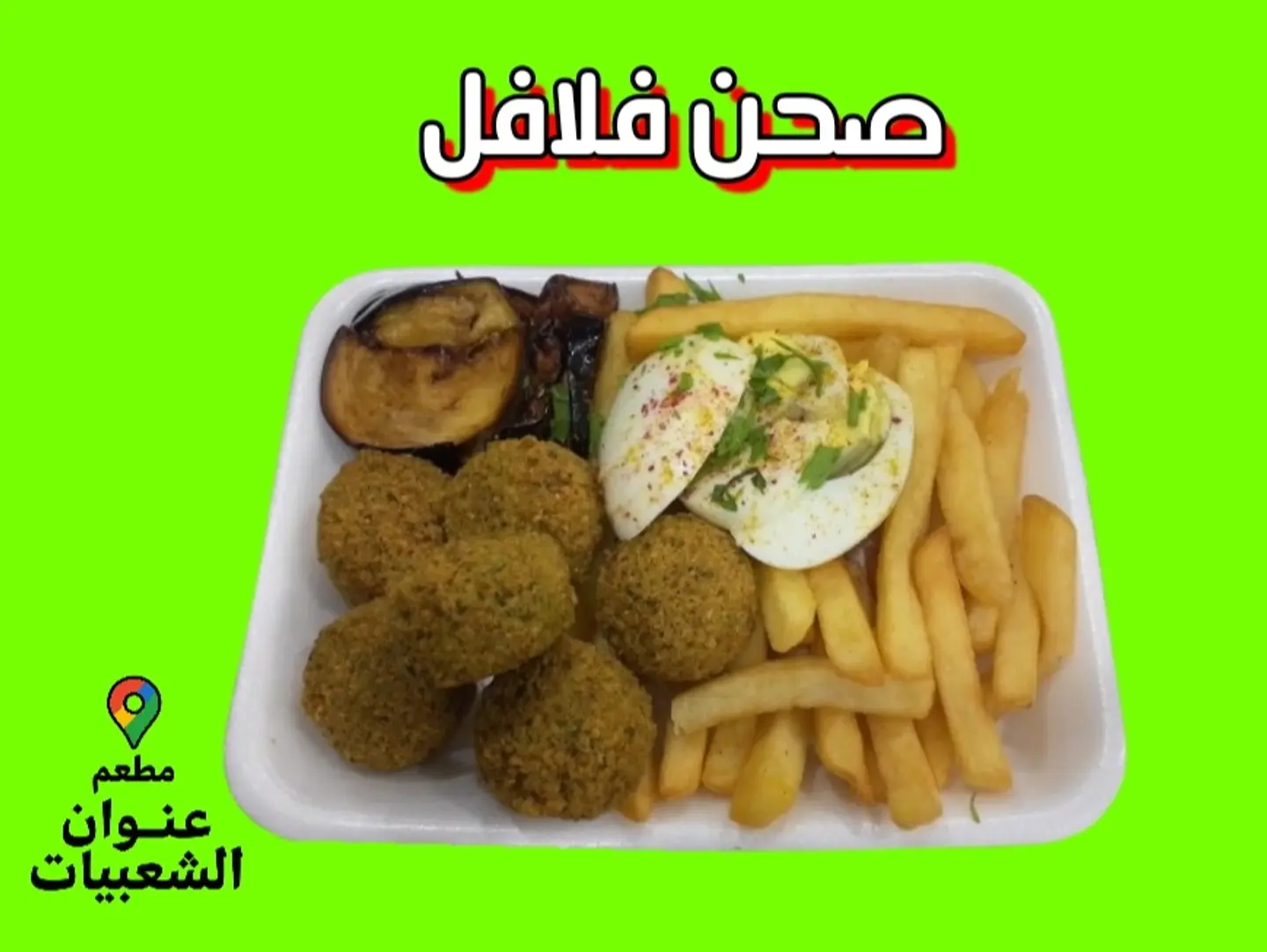 Mixed Falafel Plate
