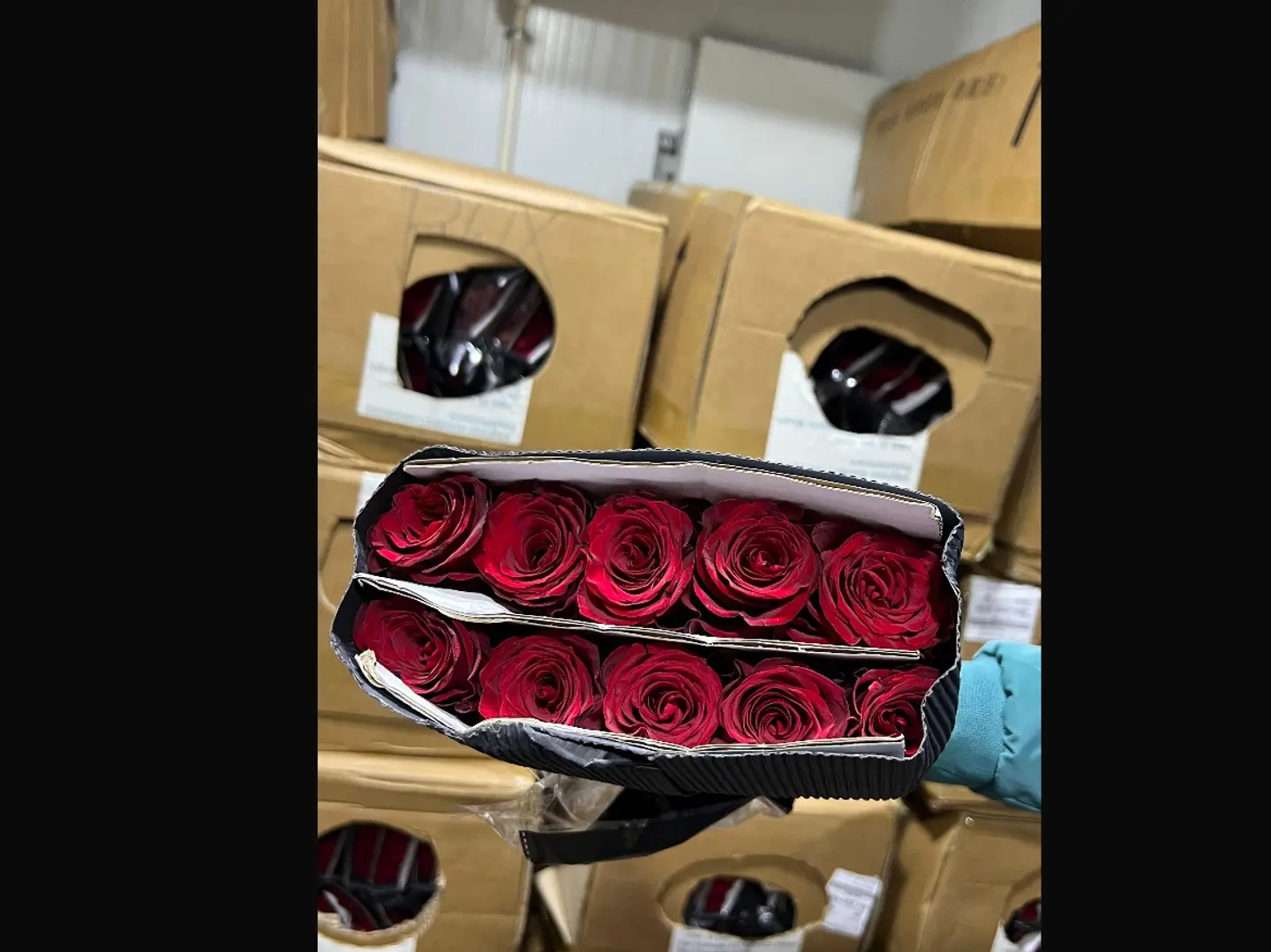 ربطة جوري 10 وردات