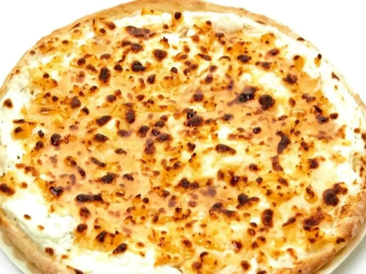 بيتز عش بلبل