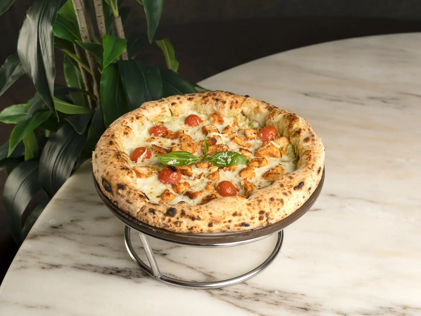 فيردي بيتزا بالدجاج