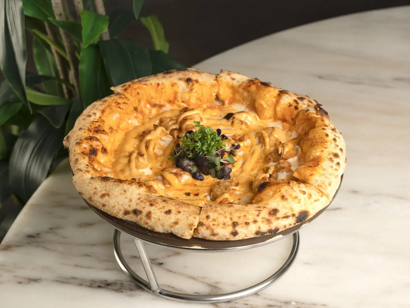 بيتزا جولدن بولو