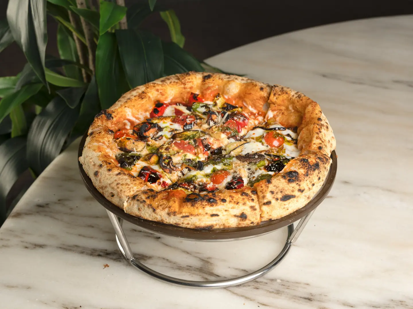 فيردورا بيتزا