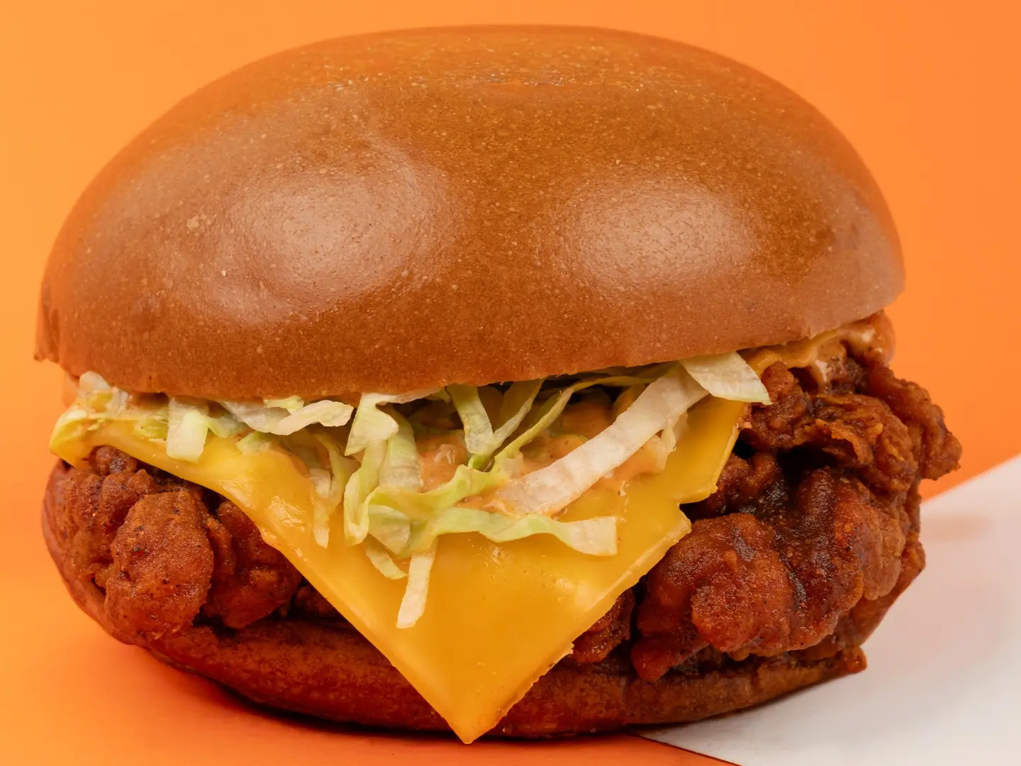 فيلية ناشفيل