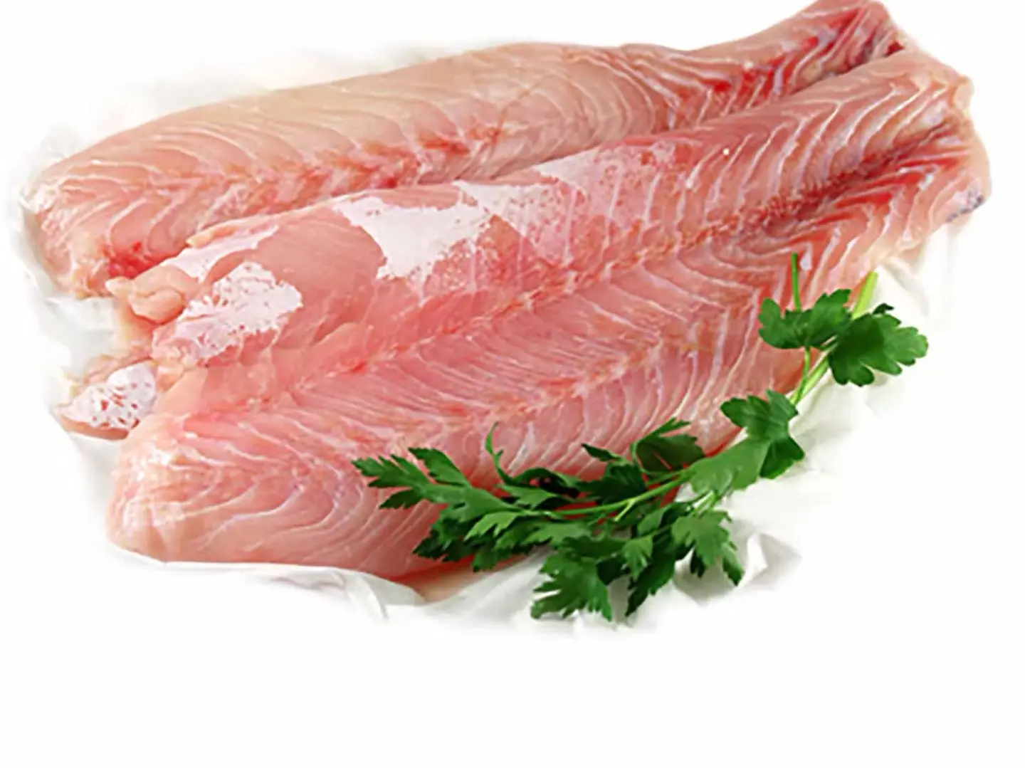 فيلية هامور - فيلية هامور