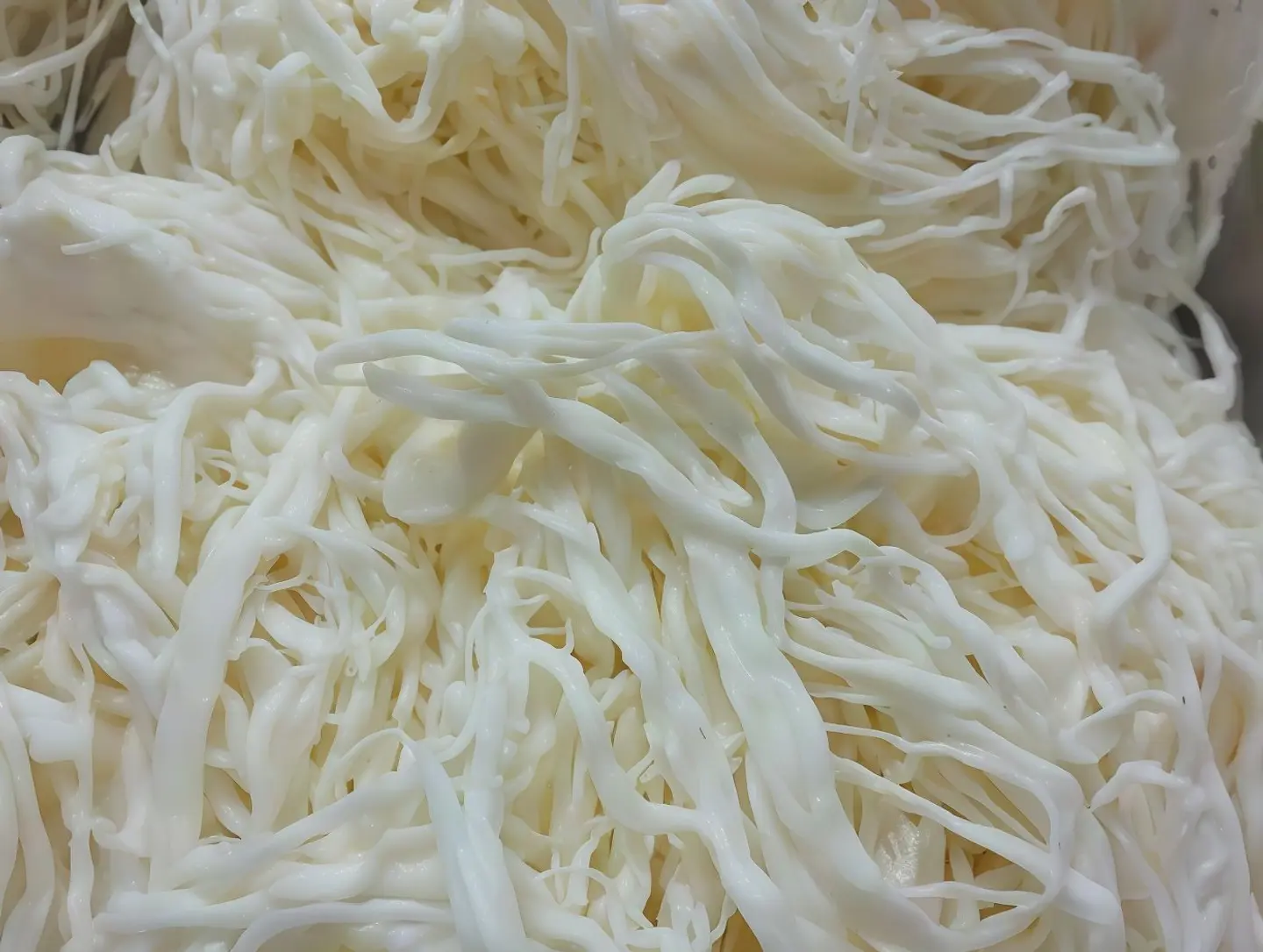 Ghaneyah Shloul Cheese 500g