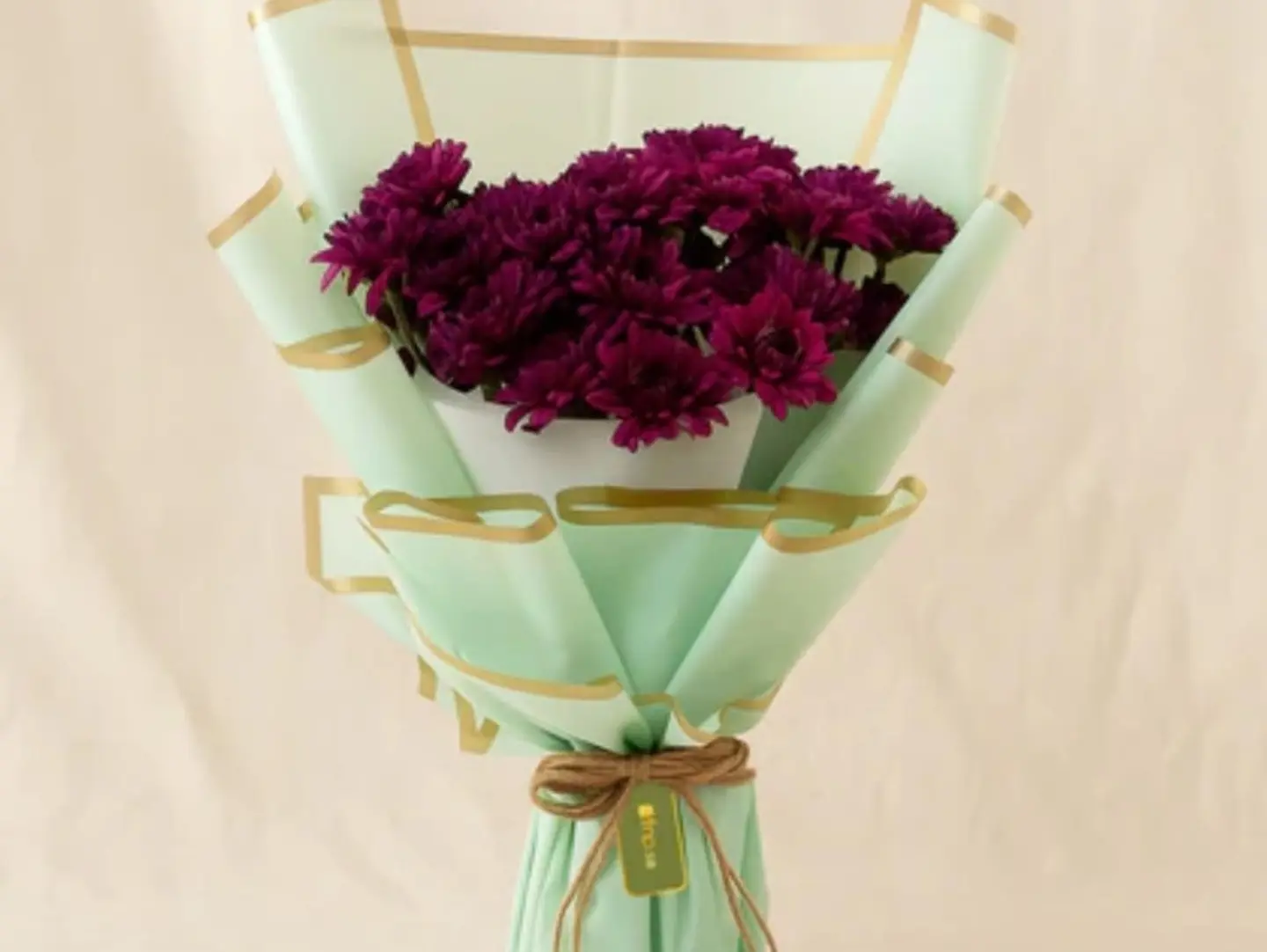 Purple Chrysanthemum