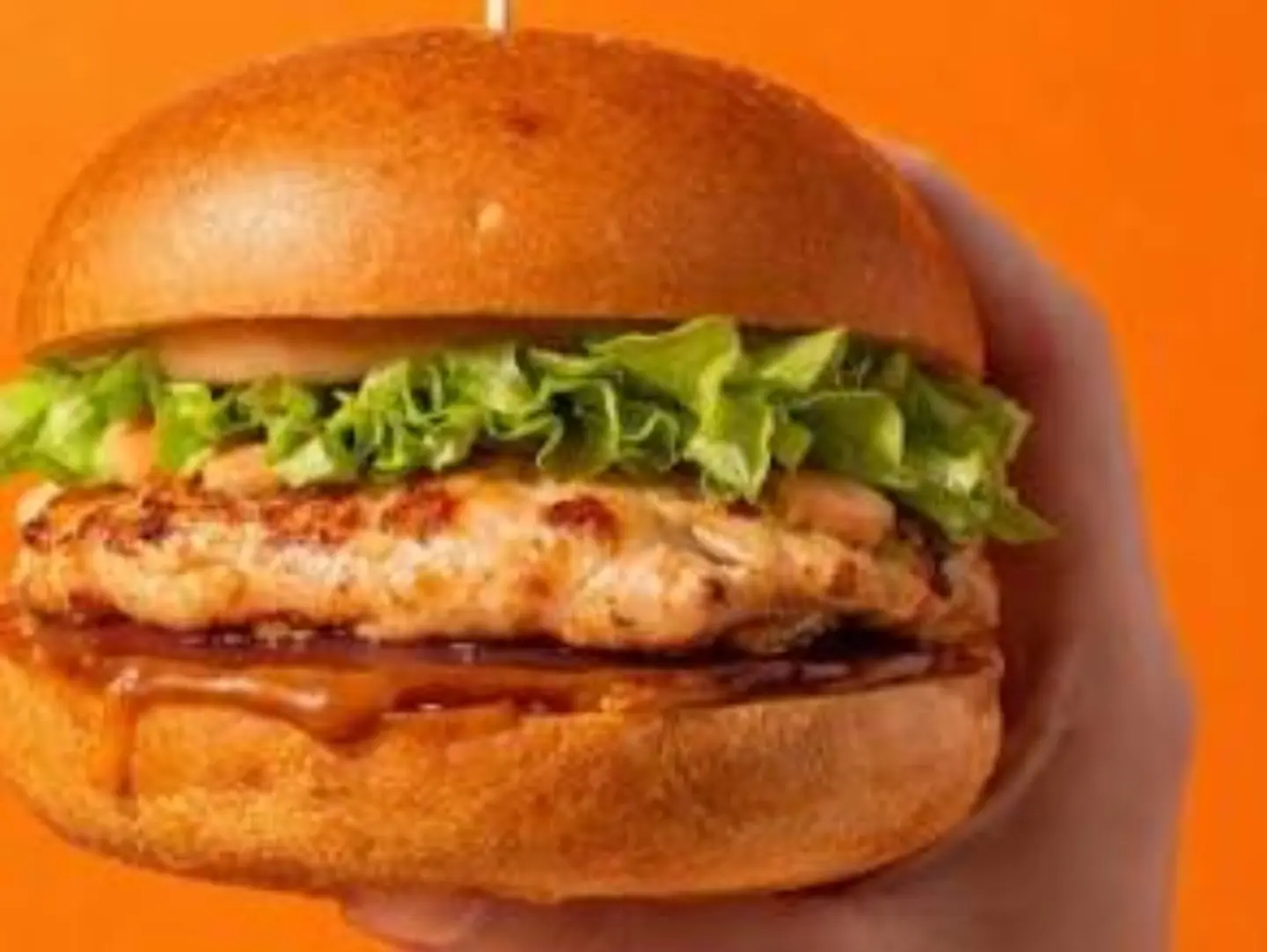 Grilled Chicken Burger