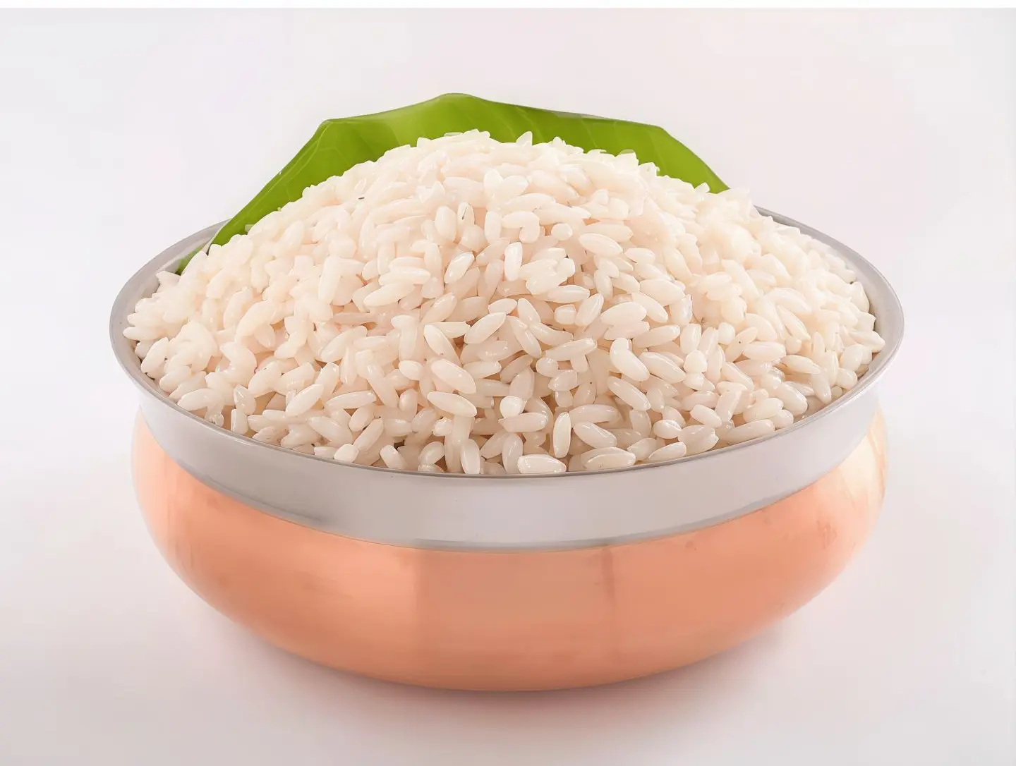 Plain Motta Rice