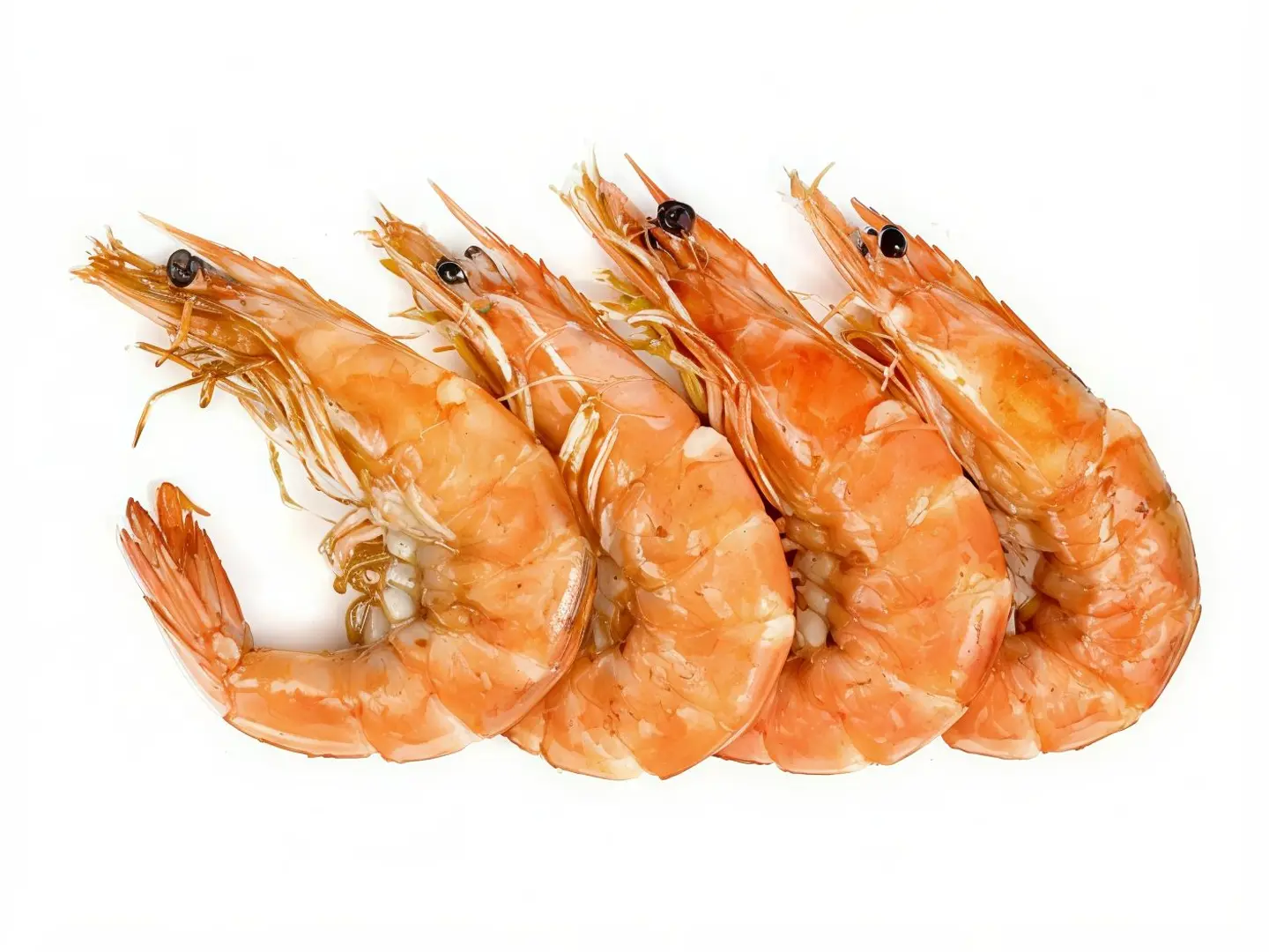 روبيان كبير