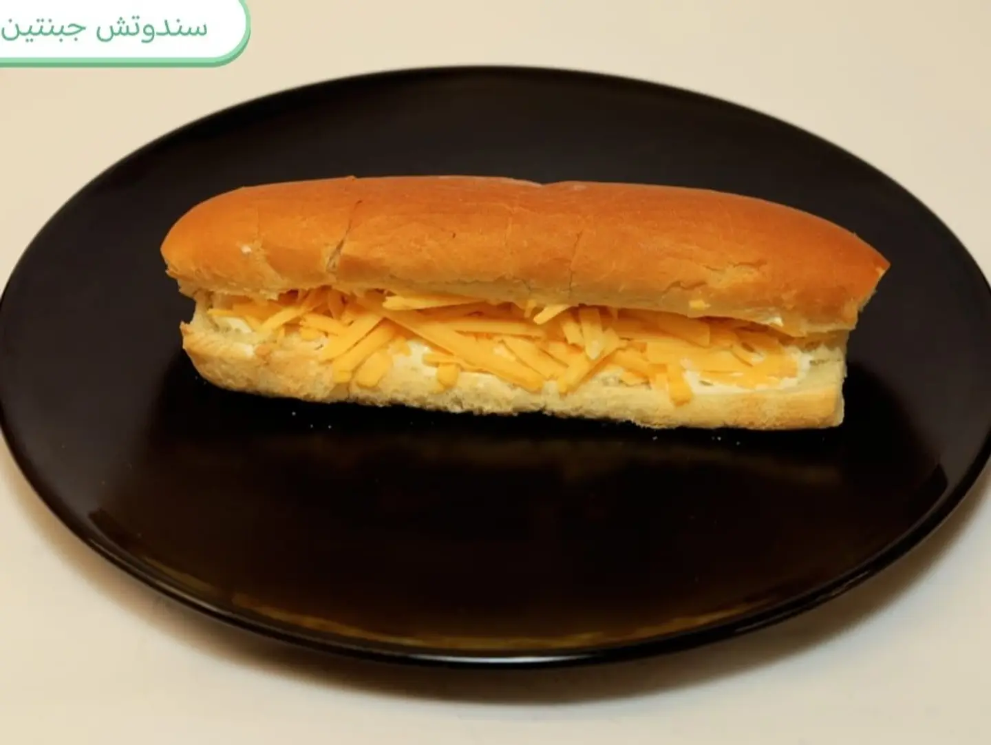 Two Cheese Sandwich