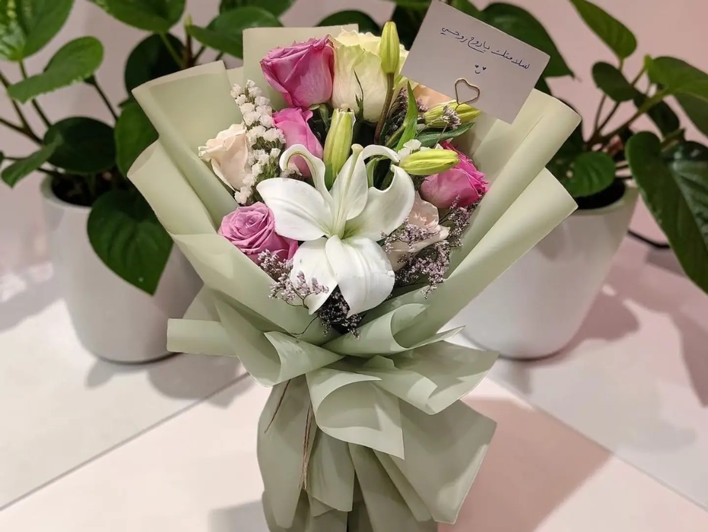 Pure Lilium 31