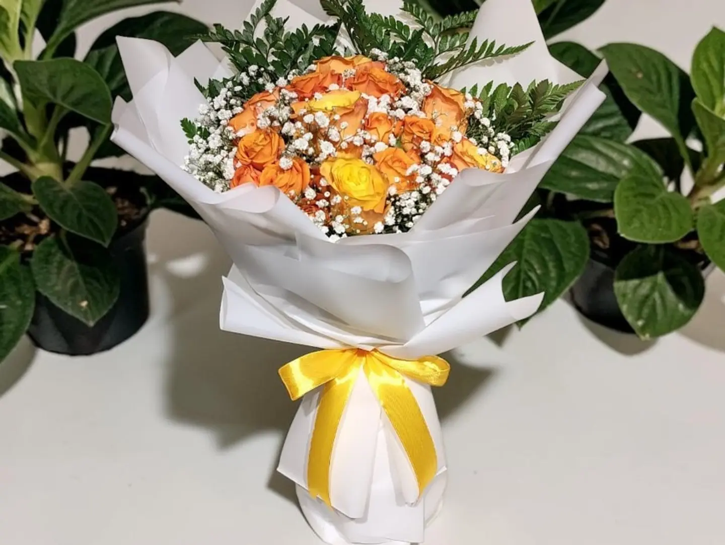 Orange Whisper 37