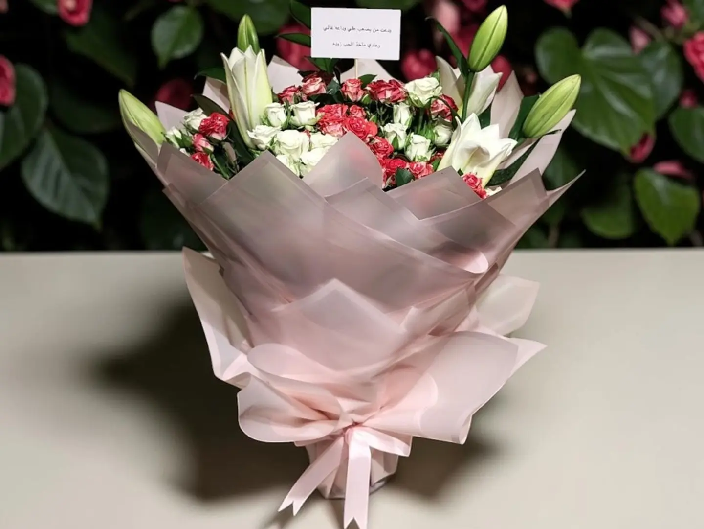 Lily Elegance 12