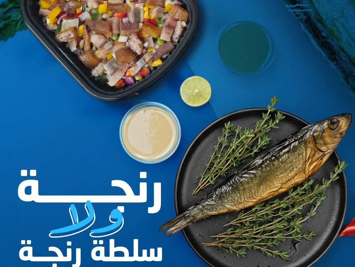 Egyptian Abu El Sied Herring