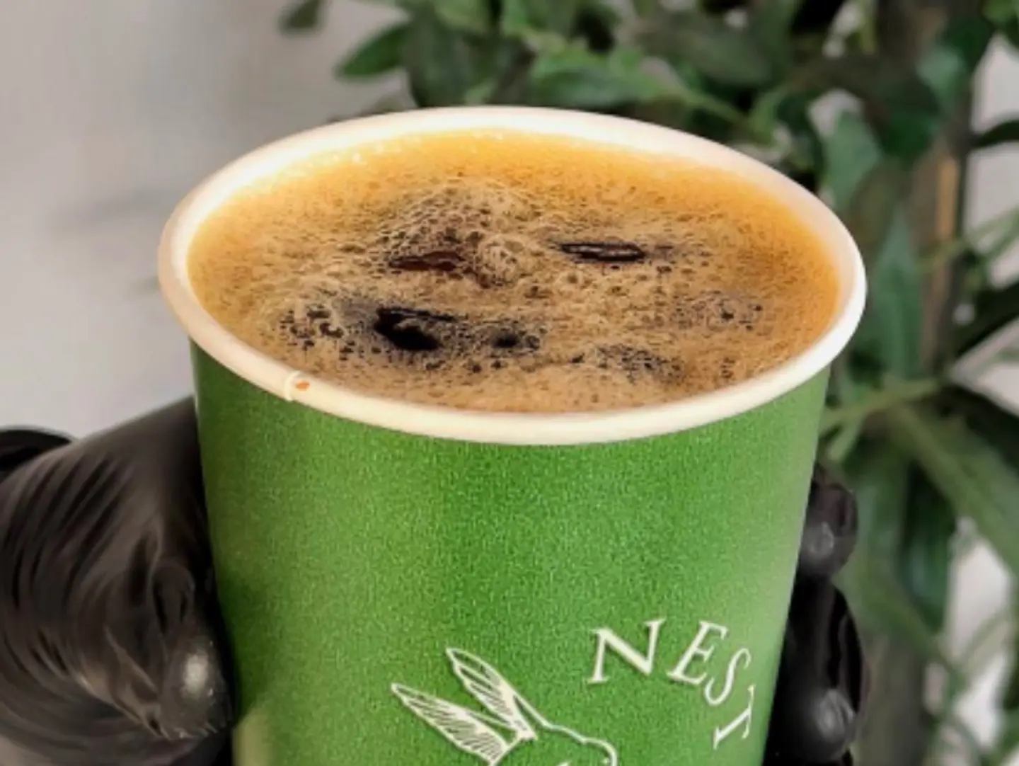 Today's Coffee Is Cold. - Large