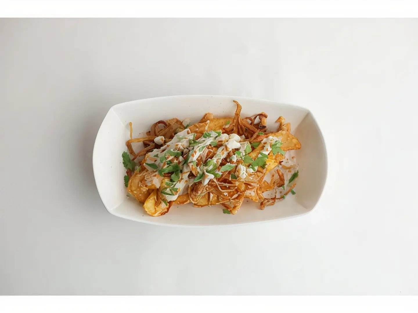 Bharat Loaded Fries