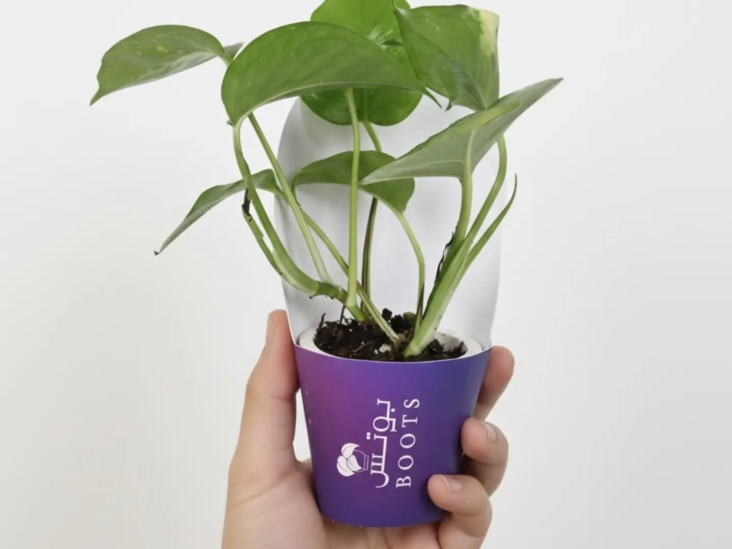 Gifts Of The Month Of Goodness